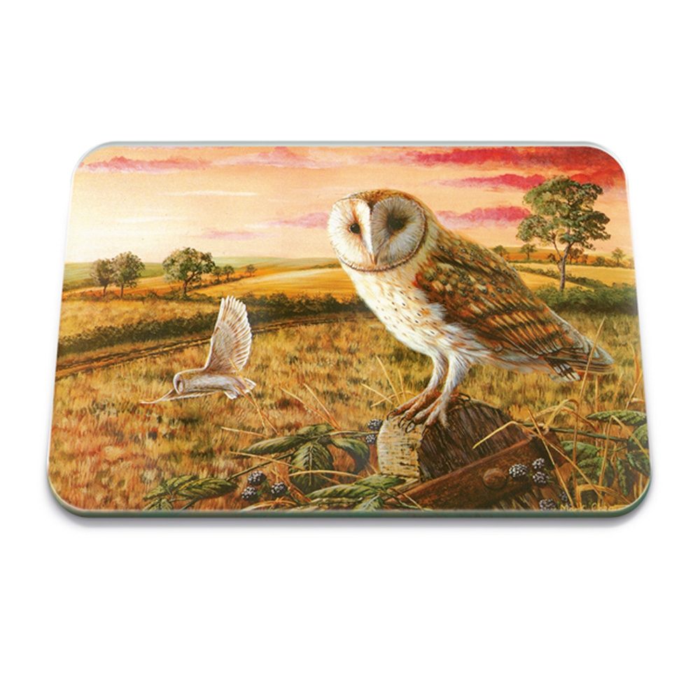 OWL 50 X 40CM LARGE GLASS WORKTOP PROTECTOR