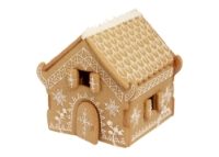 GINGERBREAD HOUSE BISCUIT SET 20PC