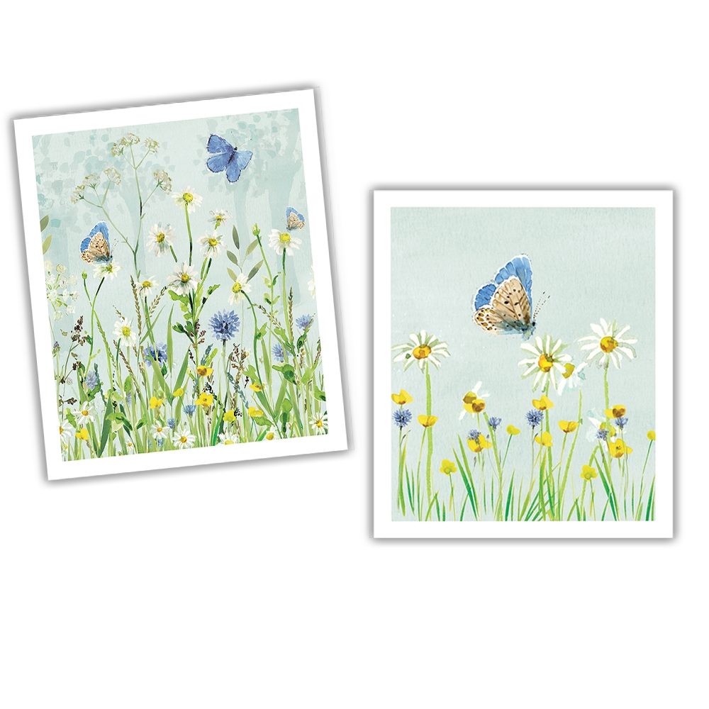 NATIONAL TRUST BUTTERFLY PLANT BASED CLEANING CLOTH SET OF 2