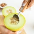 ICE CREAM, SCOOP, FULL CIRCLE, TOOLS, GADGETS,