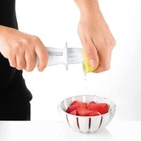 GREY LEMON JUICER AND ZESTER SQUEEZE&GRATE